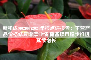 新和成(002001)2024年报点评报告：主营产品价格修复增厚业绩 储备项目稳步推进延续增长
