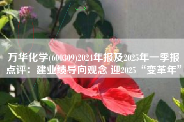 万华化学(600309)2024年报及2025年一季报点评：建业绩导向观念 迎2025“变革年”