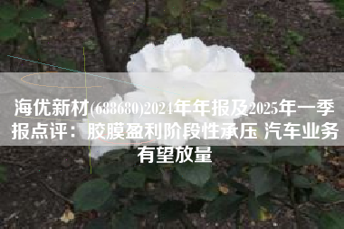 海优新材(688680)2024年年报及2025年一季报点评：胶膜盈利阶段性承压 汽车业务有望放量