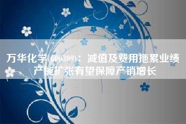 万华化学(600309)：减值及费用拖累业绩 产能扩张有望保障产销增长