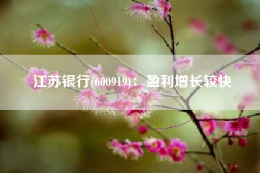 江苏银行(600919)：盈利增长较快