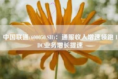 中国联通(600050.SH)：通服收入增速领跑 IDC业务增长提速
