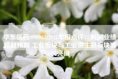 华东医药(000963)2024年报点评：利润业绩略超预期 工业板块与工业微生物板块增长亮眼