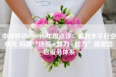 中国移动(600941)年报点评：盈利水平行业领先 构建“连接+算力+能力”新型信息服务体系