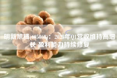 明新旭腾(605068)：2025年Q1营收维持高增长 盈利能力持续修复
