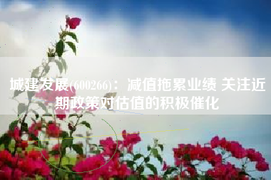 城建发展(600266)：减值拖累业绩 关注近期政策对估值的积极催化