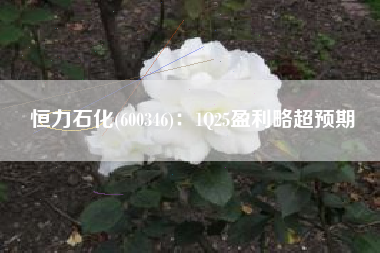 恒力石化(600346)：1Q25盈利略超预期