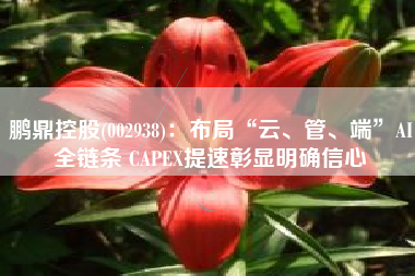 鹏鼎控股(002938)：布局“云、管、端”AI全链条 CAPEX提速彰显明确信心