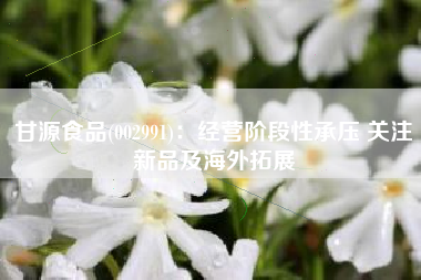 甘源食品(002991)：经营阶段性承压 关注新品及海外拓展