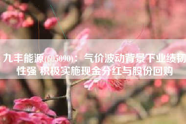 九丰能源(605090)：气价波动背景下业绩韧性强 积极实施现金分红与股份回购