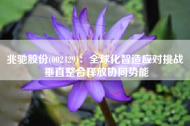 兆驰股份(002429)：全球化智造应对挑战 垂直整合释放协同势能