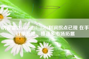 纳睿雷达(688522)：25Q1利润拐点已现 在手订单充沛、推进多市场拓展