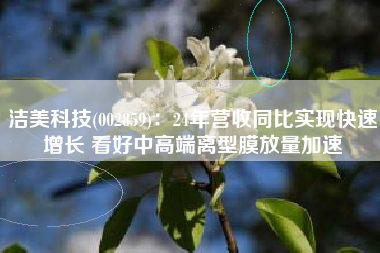 洁美科技(002859)：24年营收同比实现快速增长 看好中高端离型膜放量加速