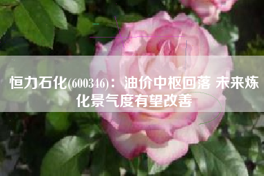 恒力石化(600346)：油价中枢回落 未来炼化景气度有望改善