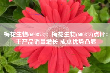 梅花生物(600873)：梅花生物(600873)点评：主产品销量增长 成本优势凸显