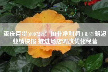 重庆百货(600729)：扣非净利润+8.8%略超业绩快报 推进场店调改优化经营