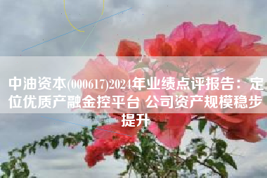 中油资本(000617)2024年业绩点评报告：定位优质产融金控平台 公司资产规模稳步提升