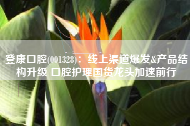 登康口腔(001328)：线上渠道爆发&产品结构升级 口腔护理国货龙头加速前行