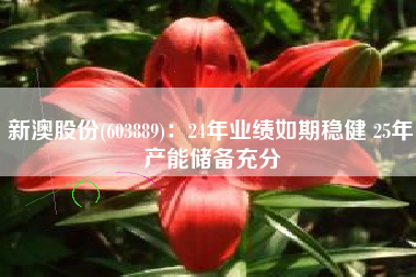 新澳股份(603889)：24年业绩如期稳健 25年产能储备充分