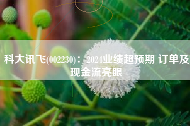 科大讯飞(002230)：2024业绩超预期 订单及现金流亮眼