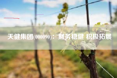 天健集团(000090)：财务稳健 积极拓展