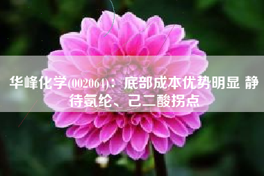 华峰化学(002064)：底部成本优势明显 静待氨纶、己二酸拐点