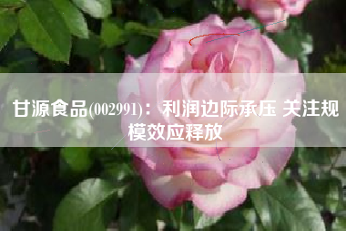 甘源食品(002991)：利润边际承压 关注规模效应释放
