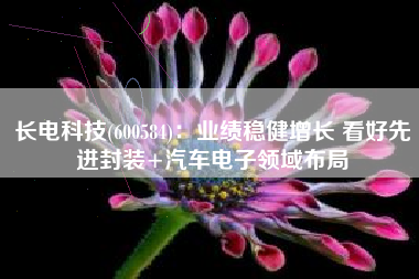 长电科技(600584)：业绩稳健增长 看好先进封装+汽车电子领域布局