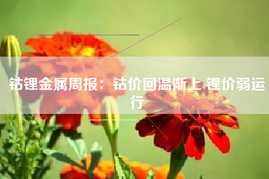 钴锂金属周报：钴价回温渐上 锂价弱运行