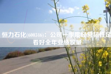 恒力石化(600346)：公司一季度经营韧性足 看好全年业绩放量