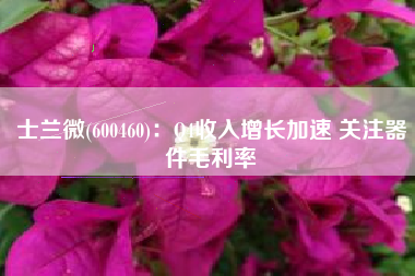士兰微(600460)：Q4收入增长加速 关注器件毛利率