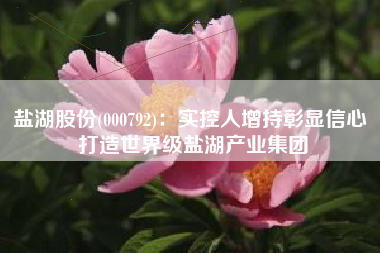 盐湖股份(000792)：实控人增持彰显信心 打造世界级盐湖产业集团