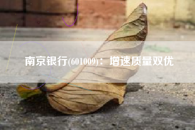 南京银行(601009)：增速质量双优