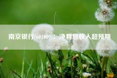 南京银行(601009)：净利息收入超预期