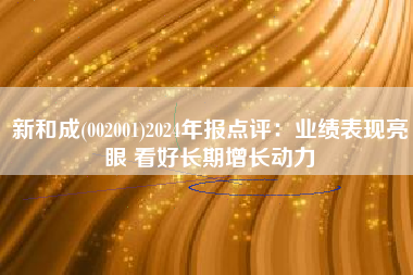 新和成(002001)2024年报点评：业绩表现亮眼 看好长期增长动力