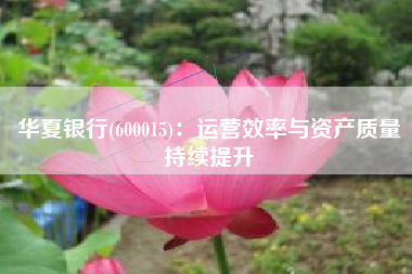 华夏银行(600015)：运营效率与资产质量持续提升