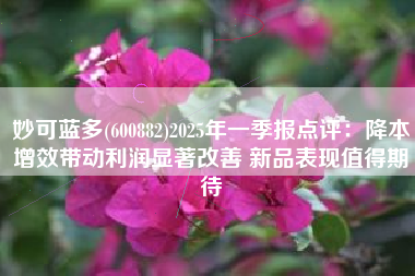妙可蓝多(600882)2025年一季报点评：降本增效带动利润显著改善 新品表现值得期待