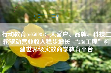 行动教育(605098)：大客户、品牌、科技三轮驱动营业收入稳步增长 “236工程”构建世界级实效商学教育平台