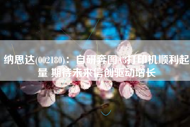 纳思达(002180)：自研奔图A3打印机顺利起量 期待未来信创驱动增长