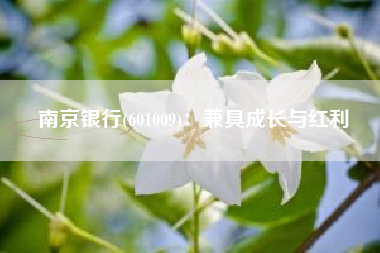 南京银行(601009)：兼具成长与红利