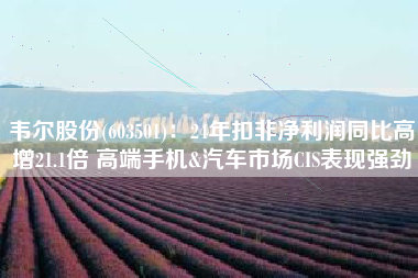 韦尔股份(603501)：24年扣非净利润同比高增21.1倍 高端手机&汽车市场CIS表现强劲