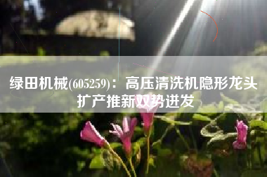 绿田机械(605259)：高压清洗机隐形龙头 扩产推新双势迸发