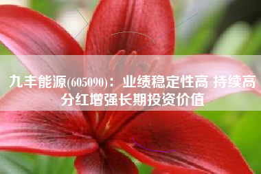 九丰能源(605090)：业绩稳定性高 持续高分红增强长期投资价值