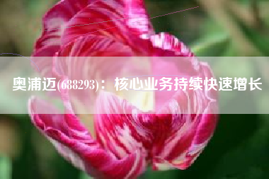 奥浦迈(688293)：核心业务持续快速增长
