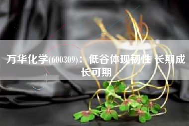 万华化学(600309)：低谷体现韧性 长期成长可期