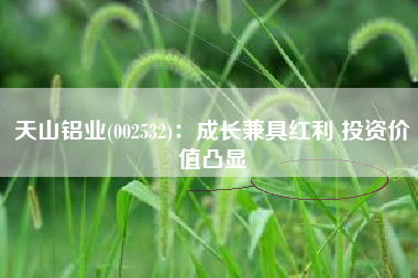天山铝业(002532)：成长兼具红利 投资价值凸显