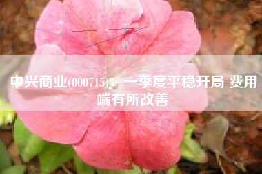 中兴商业(000715)：一季度平稳开局 费用端有所改善