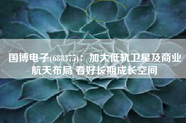 国博电子(688375)：加大低轨卫星及商业航天布局 看好长期成长空间