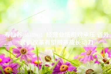 寿仙谷(603896)：经营业绩相对承压 省外营销改革有望带来成长动力