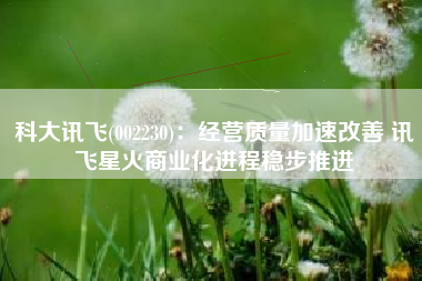 科大讯飞(002230)：经营质量加速改善 讯飞星火商业化进程稳步推进
